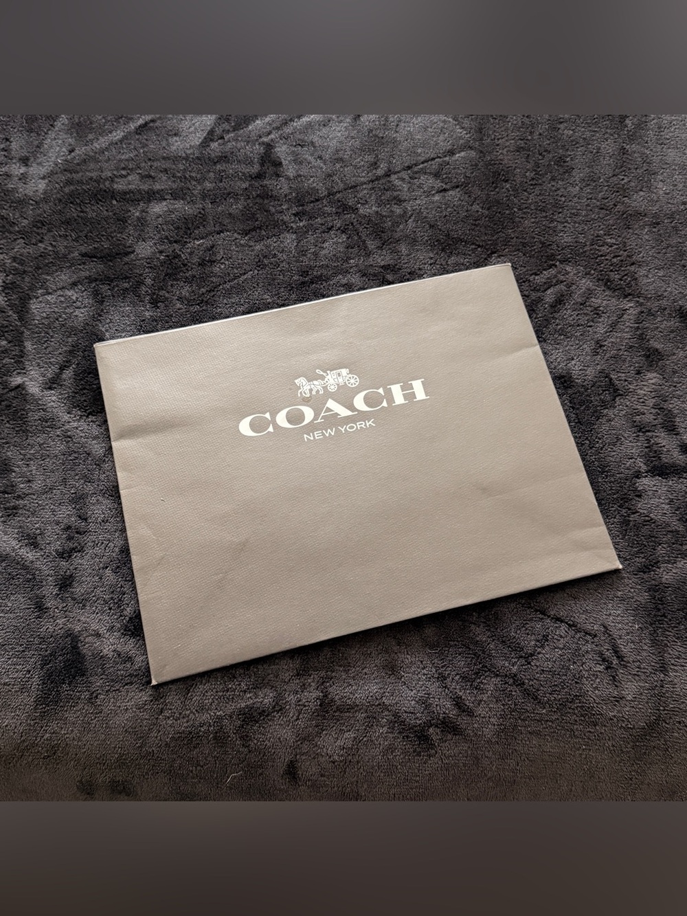 Coach Paper Gift Bag Shopping Bag
